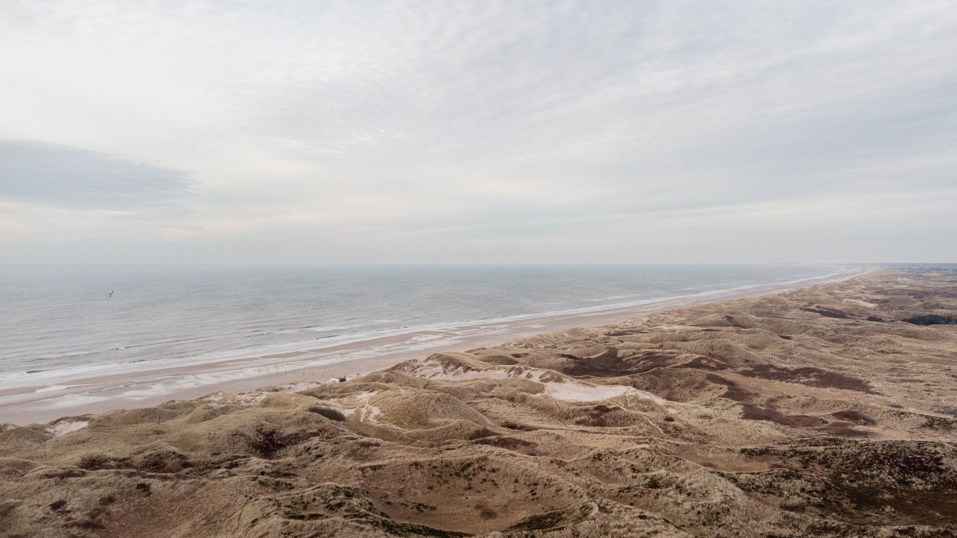DJI_0052