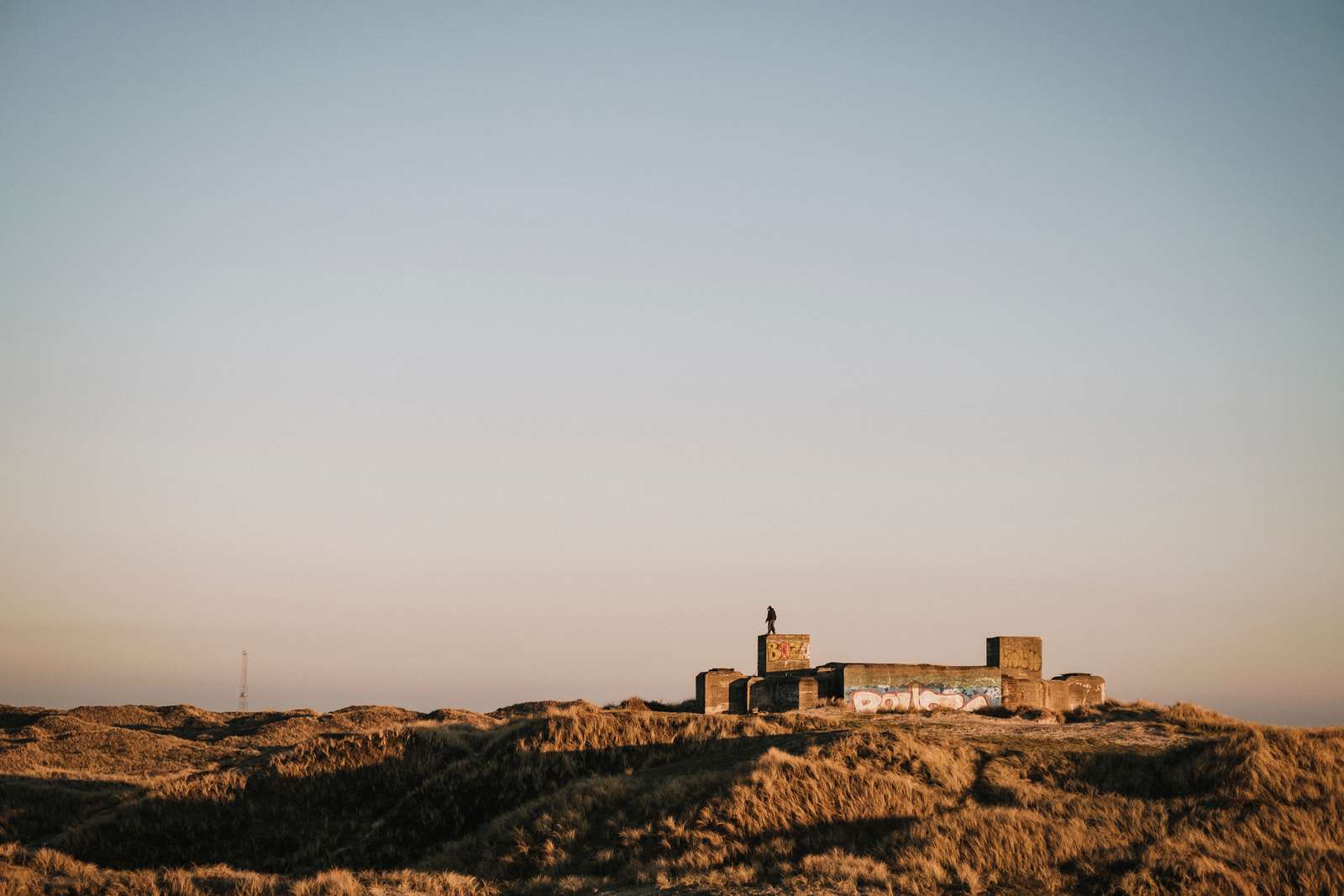 Blåvand1