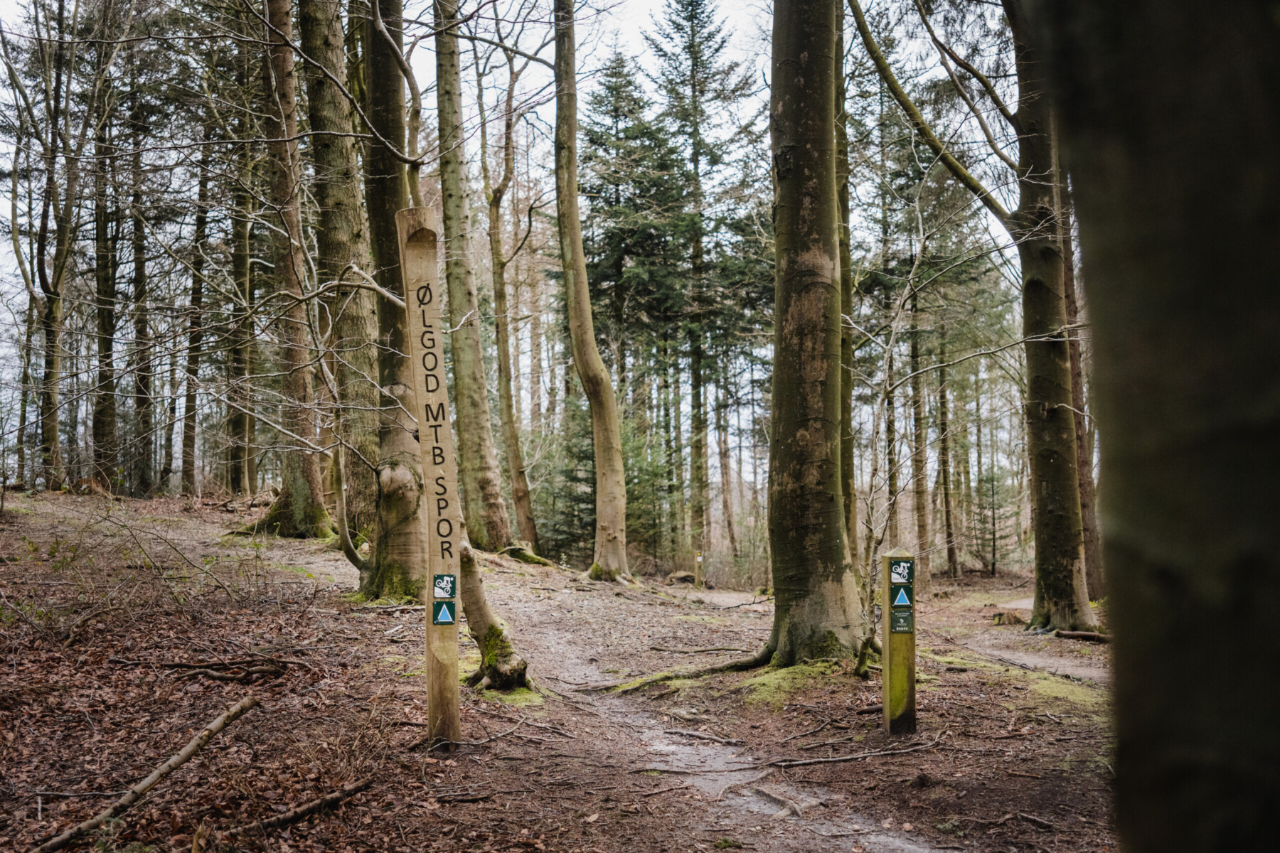 _IMG3602