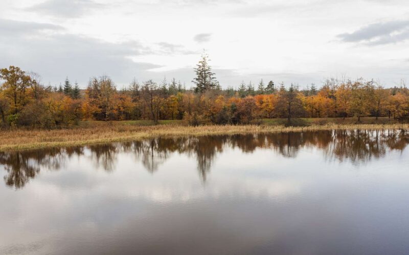 Karlsgårde Sø