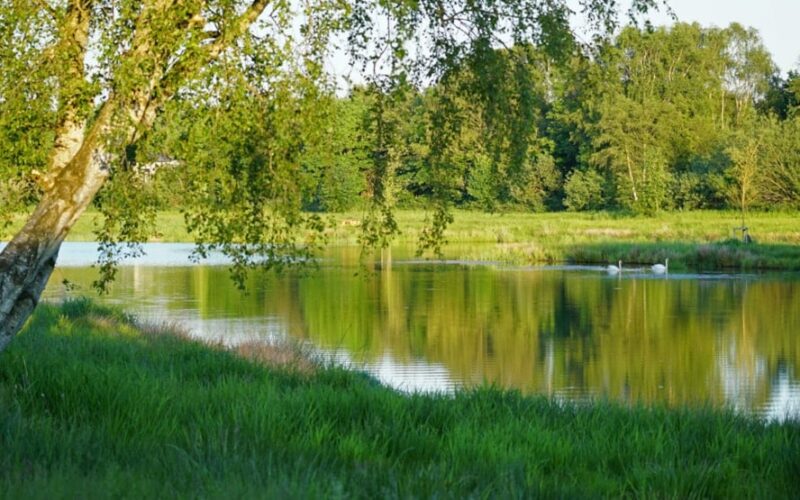 Ansager Søpark